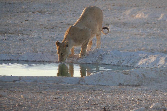 10 Namibia Adventures Diverse Landscapes Explored