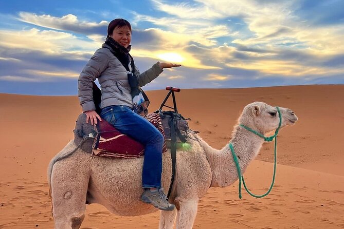 10day Luxury From Casablanca To Marrakech By Fes And Merzouga Camel Trek Experience