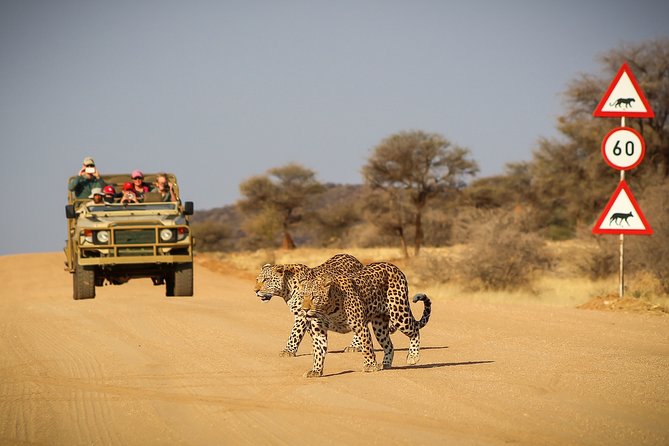 12 Day Classic Namibia Camping Safari - Safari Overview