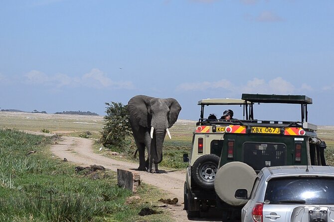 2 Day Amboseli Safari Witness Wildlife & Mt Kilimanjaro View Overview Of The Safari