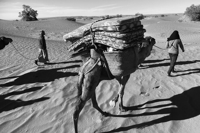 2 Day Private Tour To The Heart Of The Chegaga Dunes Tour Overview