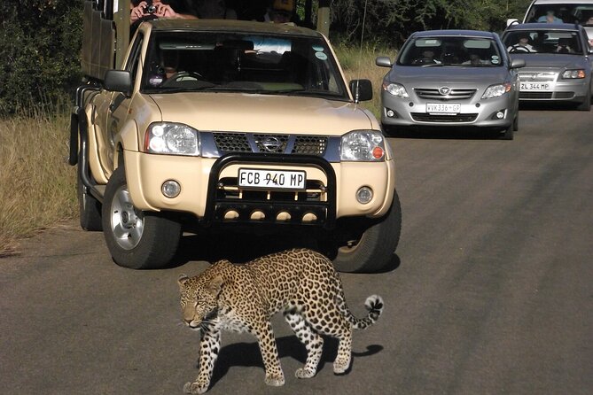 2-Day Safari Tour in Kruger National Park - Safari Tour Details