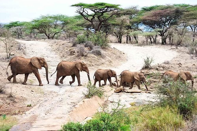 2 Days Tarangire & Ngorongoro Crater Safari Tour Tanzania Overview Of The Safari