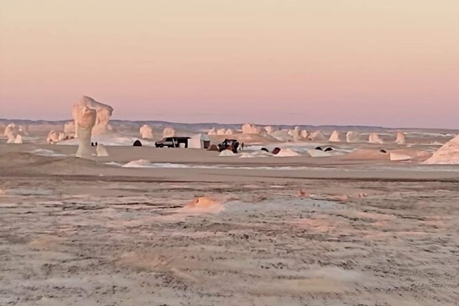 2 Days White Desert And Bahariya Oasis Tour Highlights Of The Tour