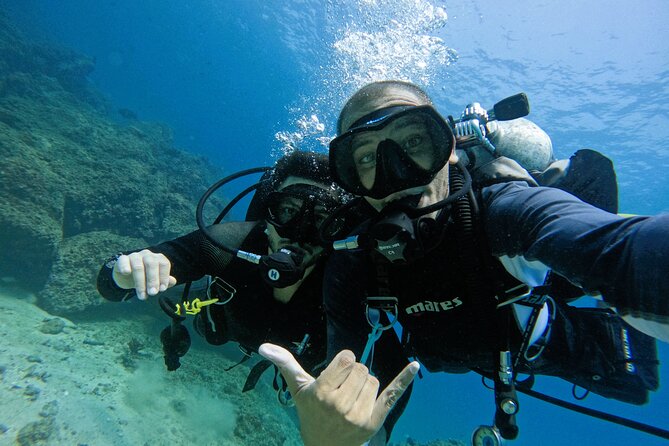 2 Dives for Certified Divers in Fujairah With BBQ Lunch - Activity Overview