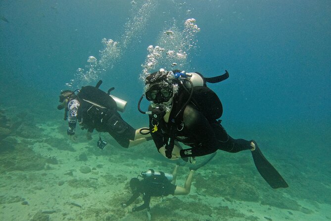 2 Dives For Certified Divers In Fujairah With Lunch & Transfer Included In The Package