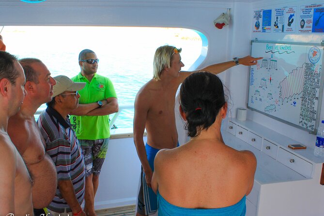 2 Dives From A Comfy Boat For Certified Divers Overview Of The Scuba Diving Adventure