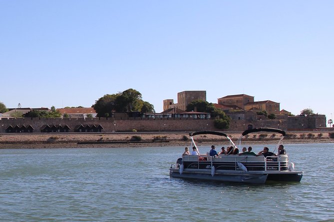 2 Hour Bird Watching Guided Boat Trip In Ria Formosa From Faro Algarve Spotting Bird Species In The Region