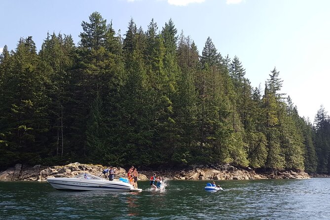 2 Hour Chartered Boat Tour From Deep Cove North Vancouver Spotting Wildlife On The Tour