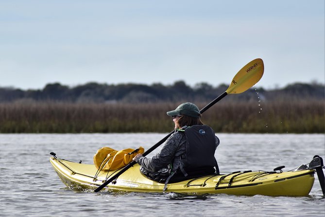 2 Hour Guided Kayak Eco Tour In Charleston Tour Overview