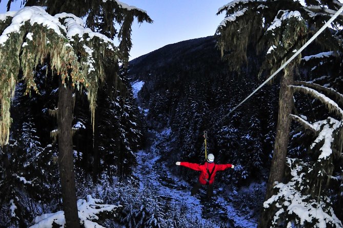 2 Hour Late Afternoon Winter Zipline Adventure Overview Of The Winter Zipline Adventure