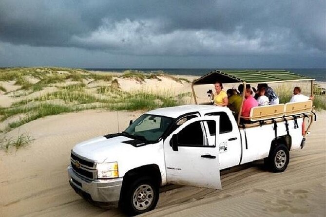 2 Hour Outer Banks Wild Horse Tour By 4wd Truck Overview Of The Tour