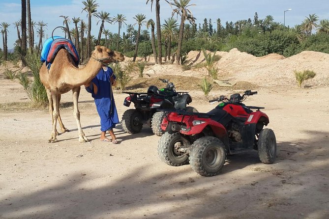 2 Hour Quad Bike & Camel Ride In Marrakech Palmeraie Overview Of The Experience