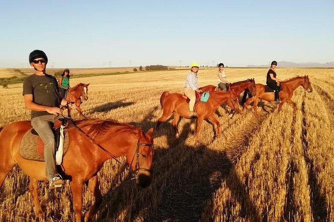 2 Hour Vineyard Trail Ride - Horseback Riding Lesson