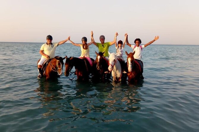 2 Hours Horse Riding 1H on the Sea and 1H in Desert From Hurghada - Tour Description