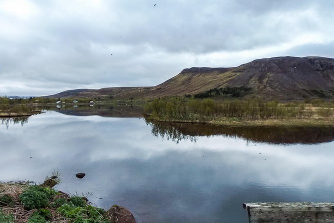 2 Hours Private Horse Riding To Lake Hafravatn, Reykjavík Mos Overview Of The Tour