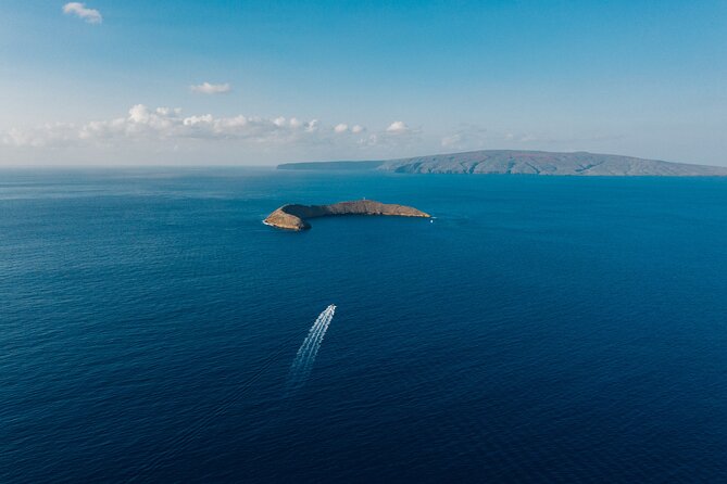 2hr Molokini Snorkel Trip Redline Trip Overview