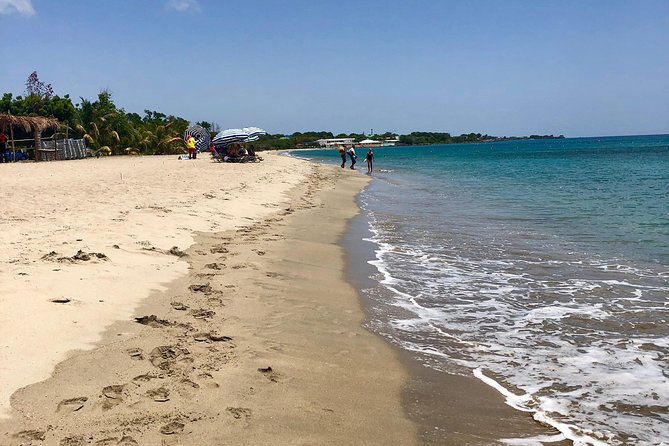 3.5hr Private Power Catamaran Snorkel and Beach Experience - Meeting Point and Directions