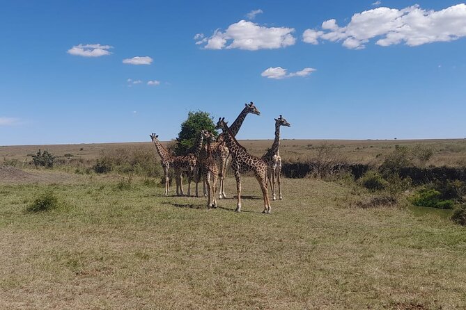 3 Day Amboseli Safari From Nairobi Accommodation Options