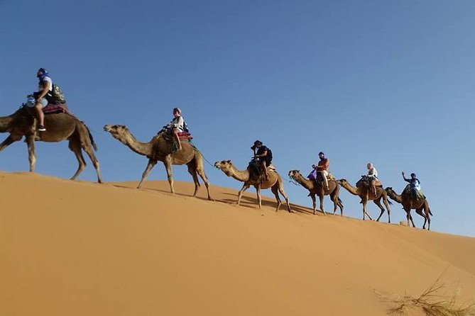 3 Day Circuit In The Sahara Desert Of Merzouga From Marrakech Pickup And Meeting Points