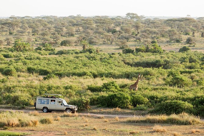 3 Day Essential 4x4 Safari: Manyara, Tarangire & Ngorongoro Tour Highlights