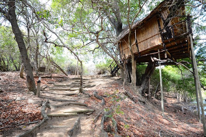 3 Day Lodge/Treehouse Kruger National Park Safari - Tour Overview