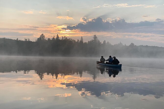 3 Day Moose Viewing Safari With Camping Overview Of The Safari