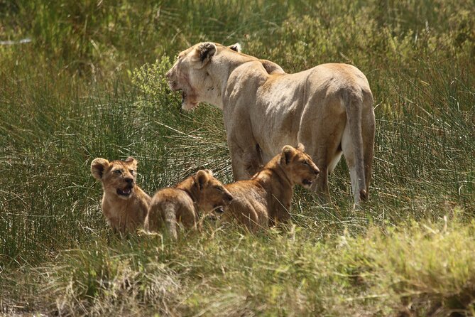 3-Day National Parks Safari From Arusha Including Tarangire - Diverse Terrain and Wildlife