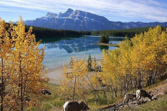 3 Day Rocky Mountains Tour, Banff & Yoho National Park (free Airport Transfer) Tour Overview