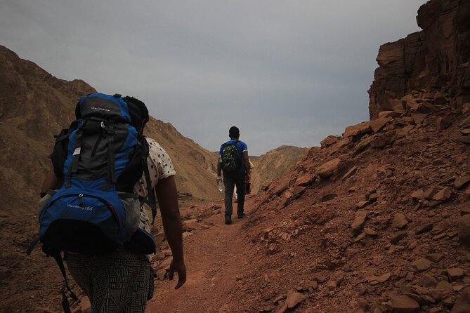 3 Day Small Group Guided Hiking Expedition In The Sinai Desert Exploring The Sinai Desert