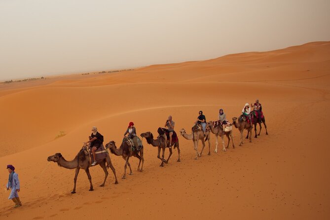 3 Days 2 Nights Desert Tour From Fes to Marrakech via Erg Chebbi - Accommodations and Meals