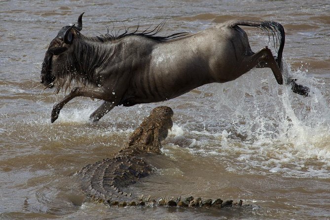 3 Days Adventurous Maasai Mara Budget Group Safari Overview