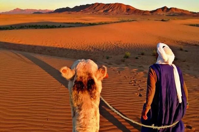 3 Days Private Merzouga Trip Tours From Marrakech Meal Inclusions