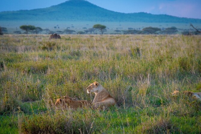 3 Days Serengeti & Ngorongoro Group Inclusions