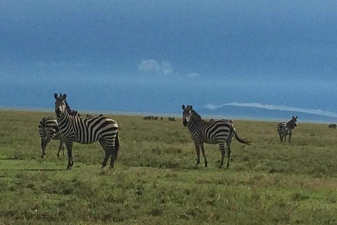 3 Days Tarangire, Lake Manyara And Ngorongoro Tour Details