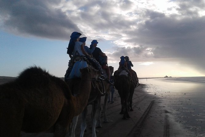 3 Hour Camel Ride At Sunset Overview Of The Experience