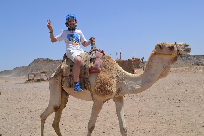 3 Hours Safari By Atv Quad Bike & Camel Ride Transfer To El Gouna Tour Overview And Details