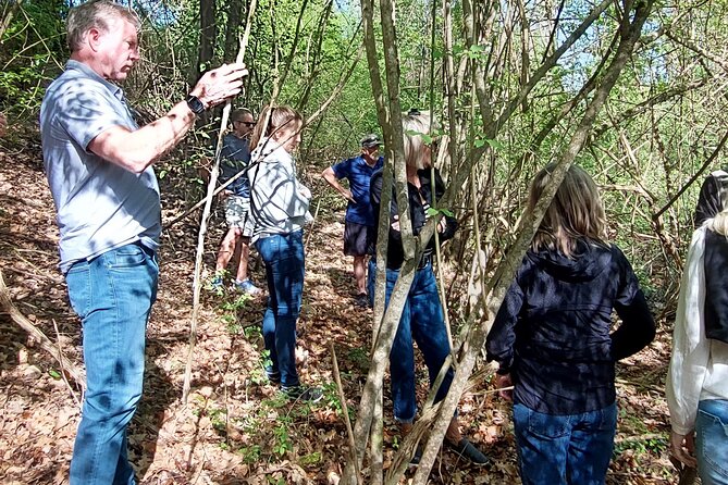 3 Hours Truffle Hunting With Pasta Cooking Class And Lunch Overview And Pricing