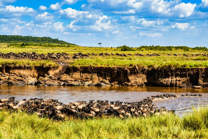 3days/2nights Group Joining Masai Mara Tour Overview