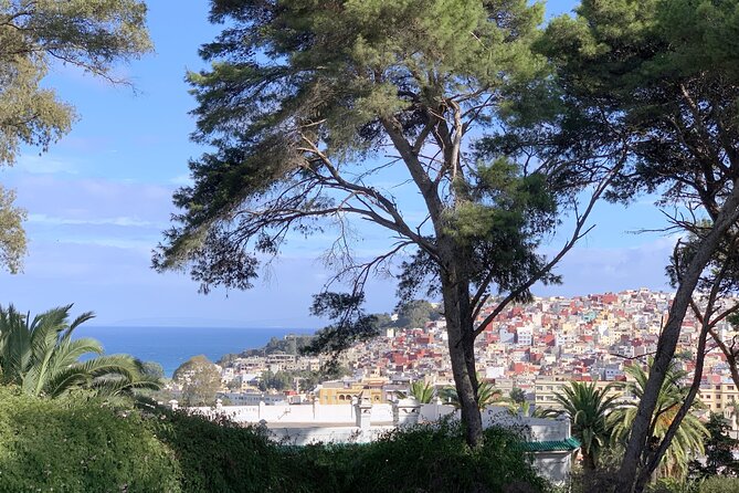 3h Private Walking Tour in Tangier Kasbah Medina & Colorful Souks - Exploring the Kasbah