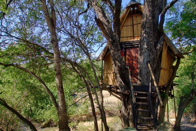 4 Day Lodge And Treehouse Kruger National Park Safari Accommodation Options