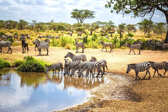 4-Day Small-Group Safari in Tarangire, Ngorongoro and Serengeti - Safari Overview