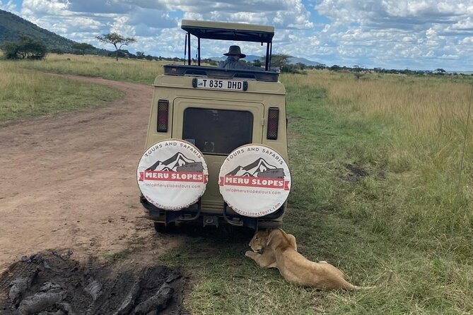 4 Day Tarangire Serengeti, Ngorongoro & Maasai Guided Group Tour Tour Overview