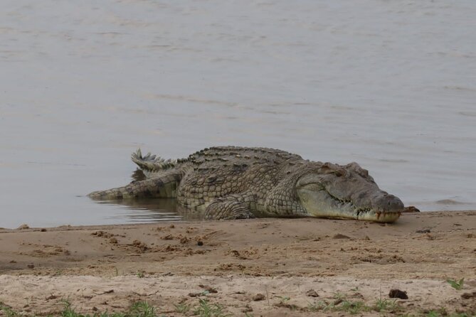 4 Days 3 Nights Selous (nyerere National Park) & Mikumi Adventure Overview Of The Adventure Tour