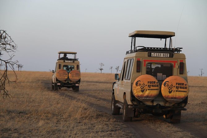 4 Days Game Drives Safari Tarangire, Serengeti And Ngorongoro Crater Tarangire National Park