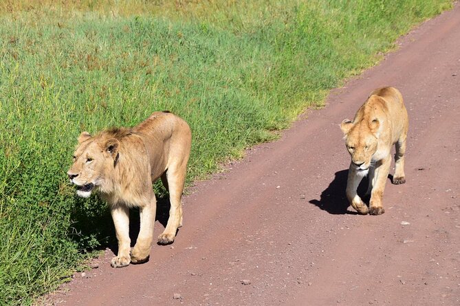 4 Days Joining Safari : Lake Manyara, Serengeti & Ngorongoro Tour Overview