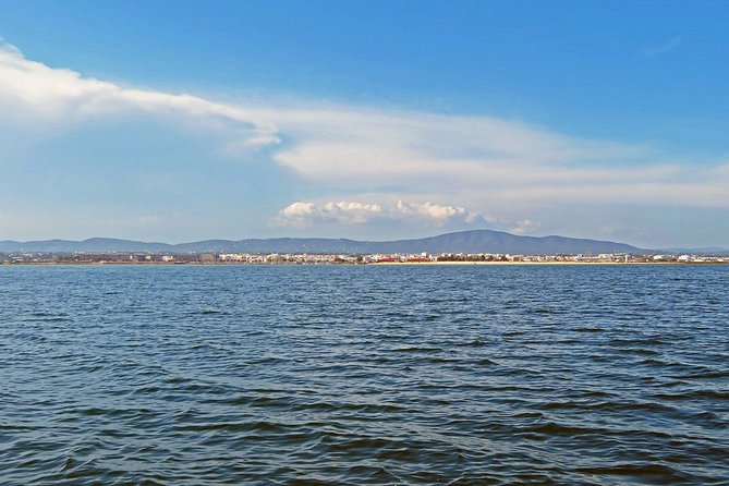 4 Hour Private Boat Tour In Ria Formosa Sail Through Lagoon