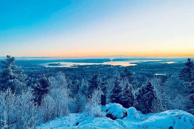 4 Hours Winter View Of The Oslofjord Walk Tour Meeting Details