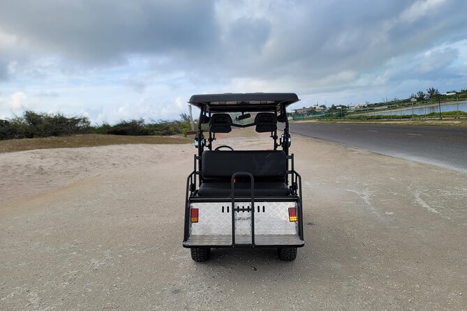 4seater Utv Golf Cart In Grand Turk Rental Confirmation And Accessibility