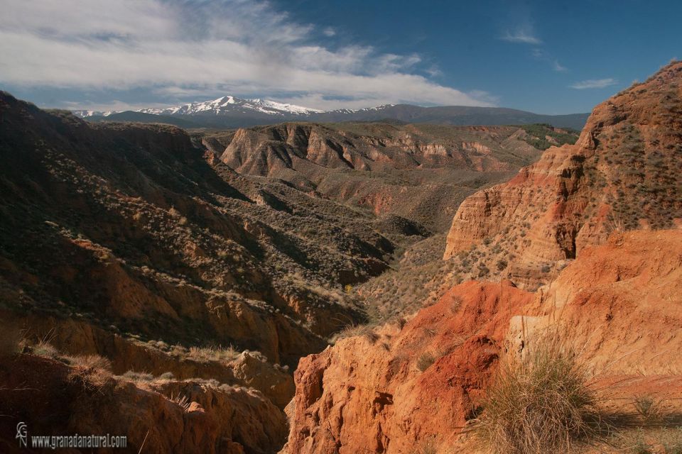 4x4 Full Day Desert Tour of Los Coloraos, Gorafe - Tour Details